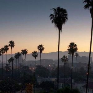 Meet your Posher, Cherry